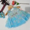 Royal Pearl Embellished Frock